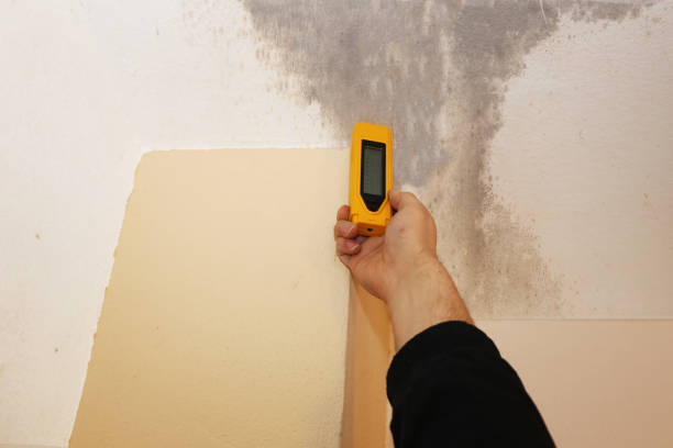 Best HVAC Mold Inspection and Cleaning  in St Cloud, FL