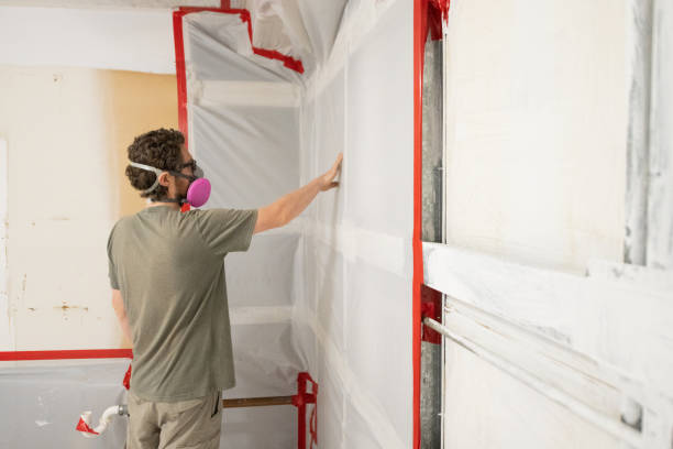 Best Mold Damage Restoration  in St Cloud, FL