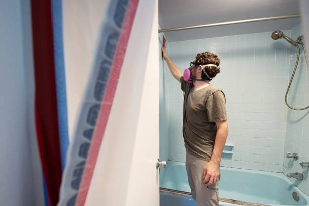 Trusted St Cloud, FL Mold Removal Experts