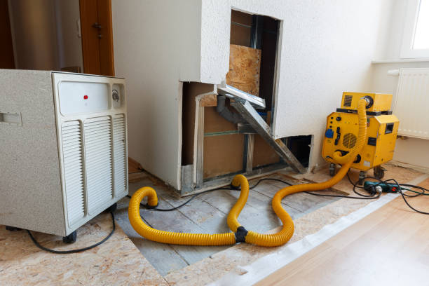 Best Mold Remediation for Healthcare Facilities  in St Cloud, FL